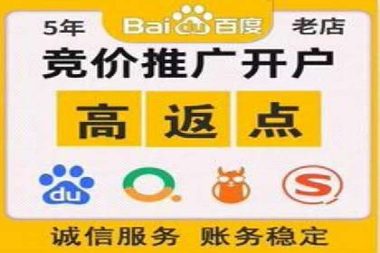 竞价开户推广案例营销策略