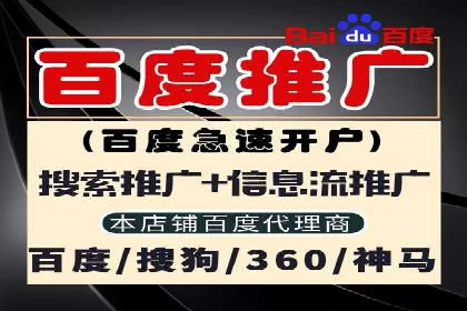 SEM托管服务成功案例背后的故事